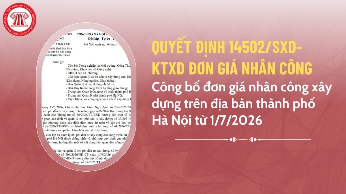 Pháp luật