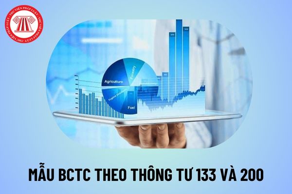 Mẫu thuyết minh BCTC Excel theo Thông tư 200 và Thông tư 133 mới nhất? Tải mẫu thuyết minh BCTC file Excel ở đâu?