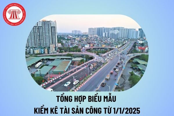 Tổng hợp biểu mẫu tổng kiểm kê tài sản công từ ngày 1/1/2025 tại cơ quan, tổ chức, đơn vị, tài sản do Nhà nước đầu tư, quản lý? 