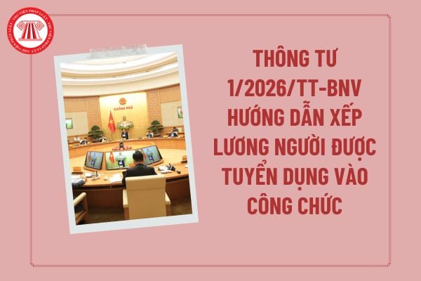 Pháp luật
