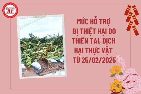 Mức hỗ trợ bị thiệt hại do thiên tai, dịch hại thực vật từ 25/02/2025? Đối tượng hỗ trợ bị thiệt hại gồm những ai?