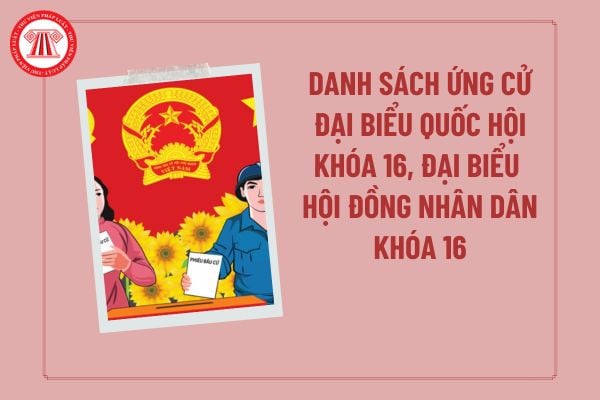 Pháp luật