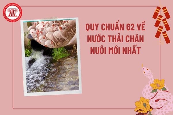 QCVN 62:2025/BTNMT nước thải chăn nuôi? Quy chuẩn 62 về nước thải chăn nuôi? Quy chuẩn nước thải chăn nuôi mới nhất? 