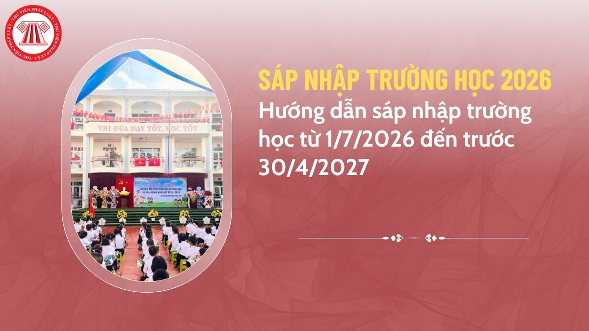 Pháp luật
