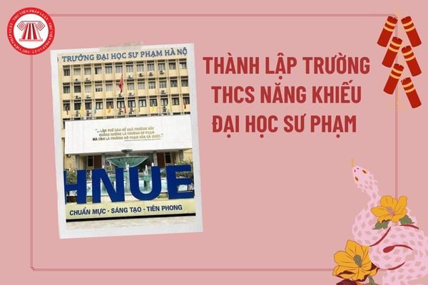 Thành lập Trường THCS Năng khiếu Đại học Sư phạm trực thuộc Trường Đại học Sư phạm Hà Nội theo Quyết định 282?