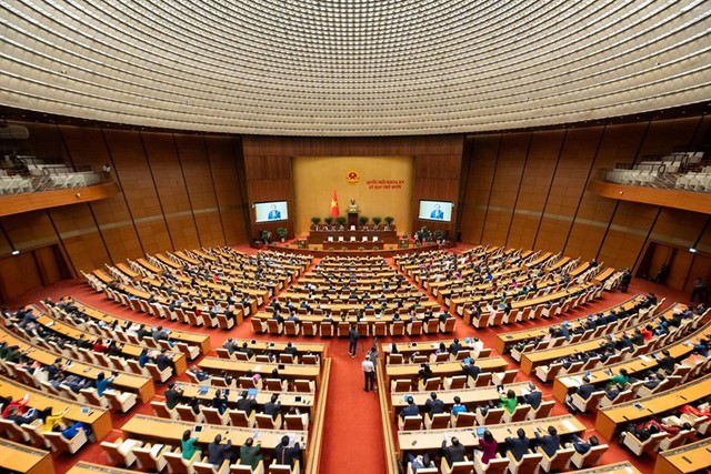 Pháp luật