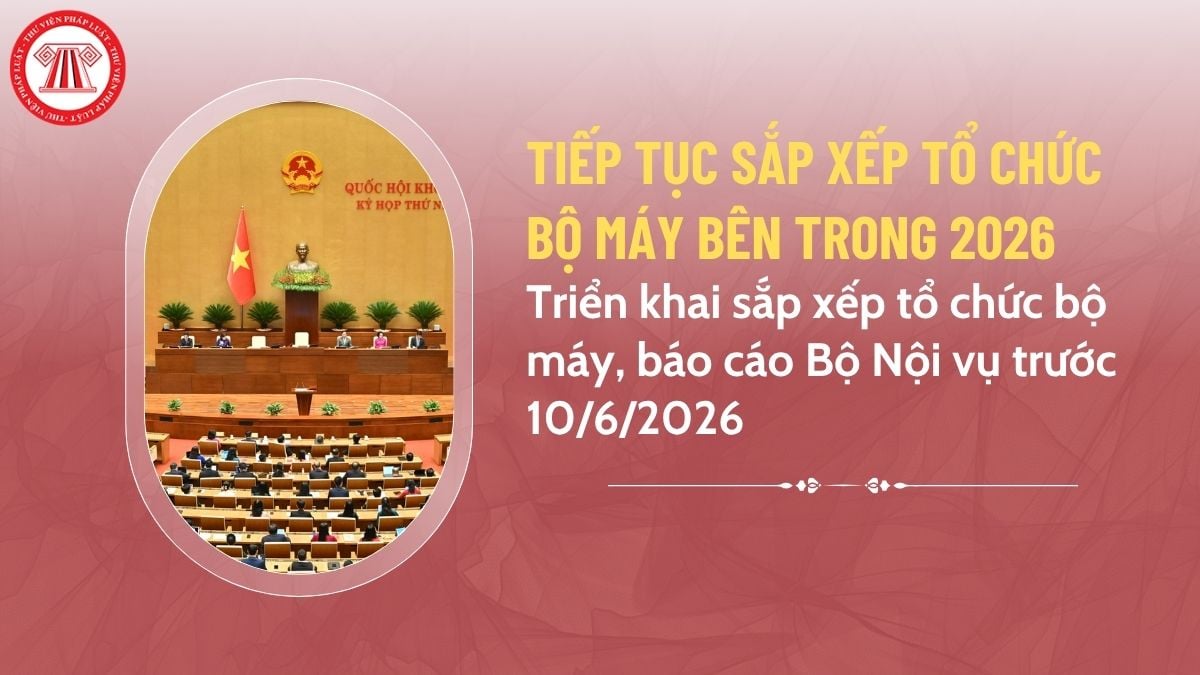 Pháp luật