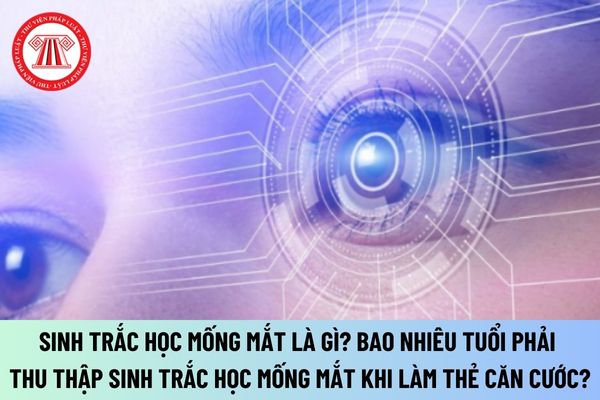 Sinh trắc học mống mắt là gì? Bao nhiêu tuổi phải thu thập sinh trắc học mống mắt khi làm thẻ căn cước từ 01/7/2024?