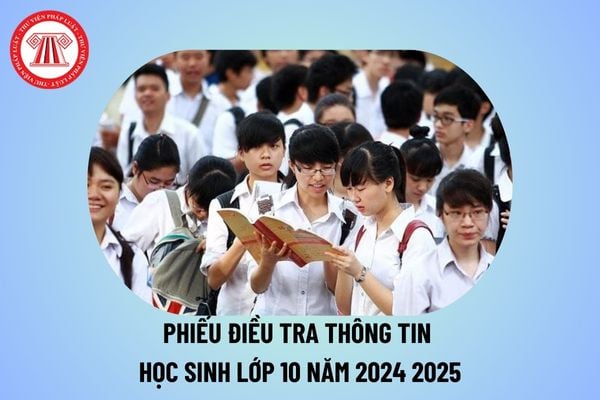 Mẫu Phiếu điều tra thông tin học sinh lớp 10 năm học 2024 2025 và cách ghi? Phiếu kê khai thông tin học sinh file word lớp 10?