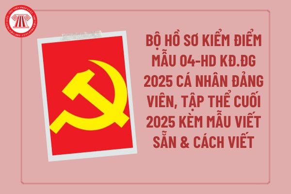 Pháp luật