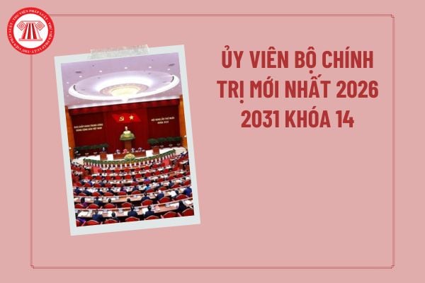 Pháp luật