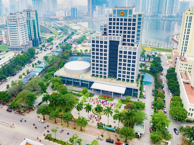 Pháp luật