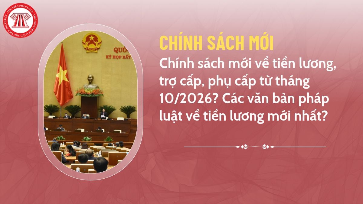 Pháp luật