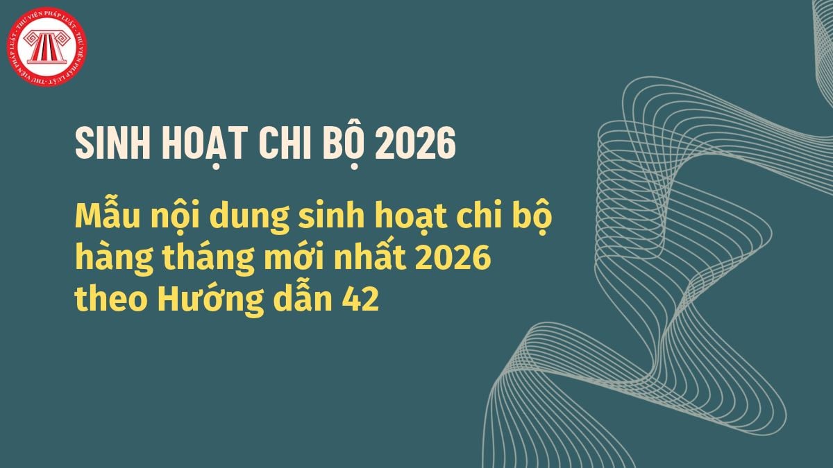Pháp luật