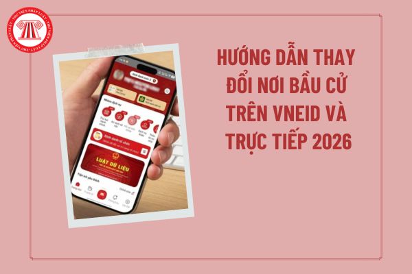 Pháp luật