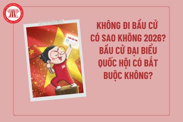 Bầu cử 15/3/2026 Chủ nhật: Quy định về phiếu bầu cử, nguyên tắc bầu cử, ghi phiếu bầu cử Đại biểu Quốc hội chi tiết ra sao?