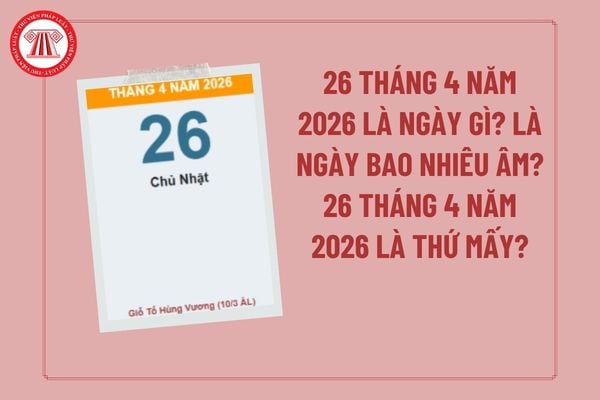 Pháp luật