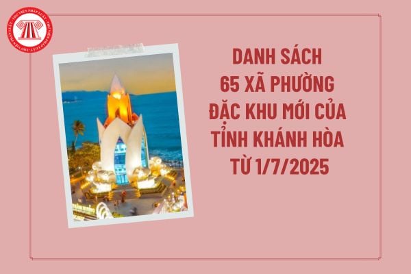 Khởi sắc kinh tế từ mô hình chăn nuôi bò, cừu tại xã Thuận Nam, Khánh Hòa 3 Khởi sắc kinh tế từ mô hình chăn nuôi bò, cừu tại xã Thuận Nam, Khánh Hòa