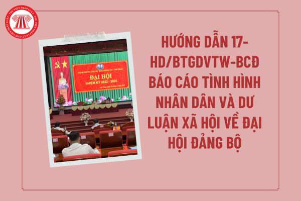 Pháp luật