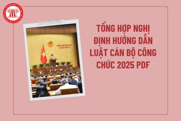 Pháp luật