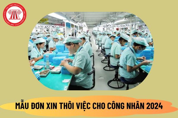 Mẫu đơn xin thôi việc của công nhân 2024 chuẩn nhất? File word mẫu đơn xin thôi việc của công nhân ở đâu?