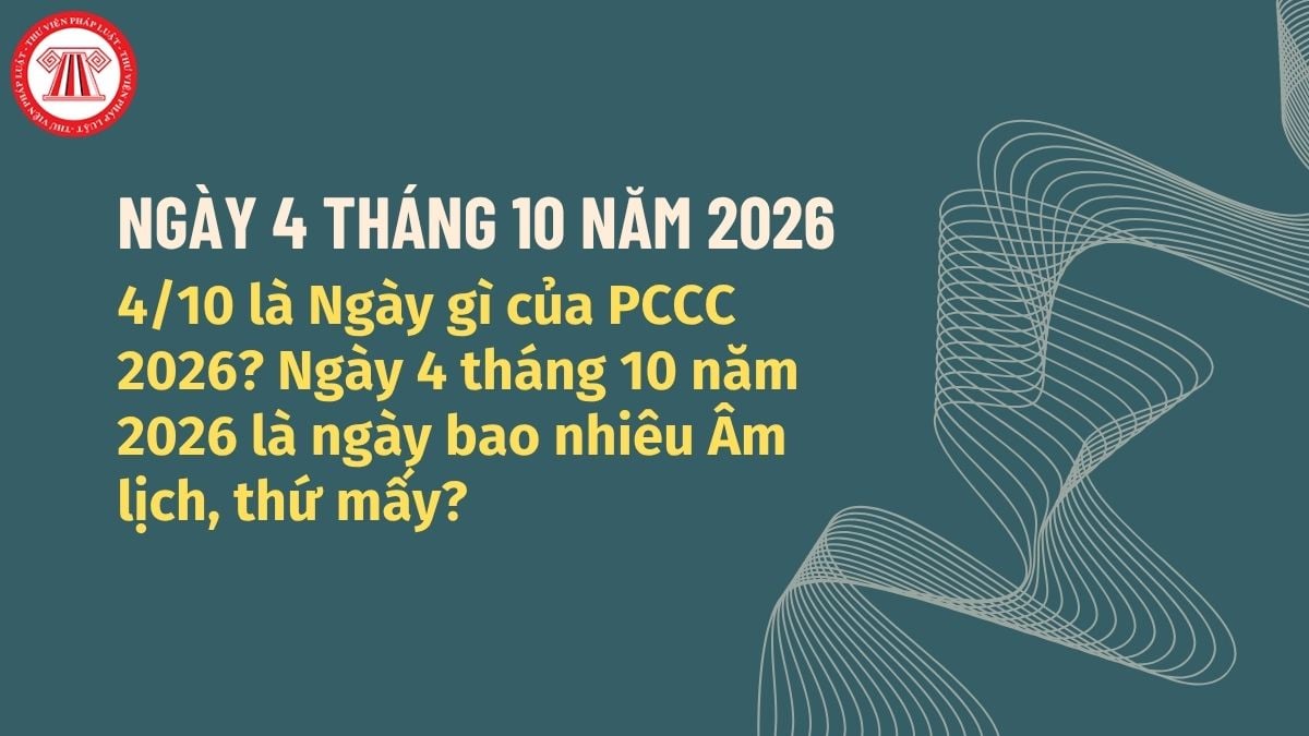 Pháp luật