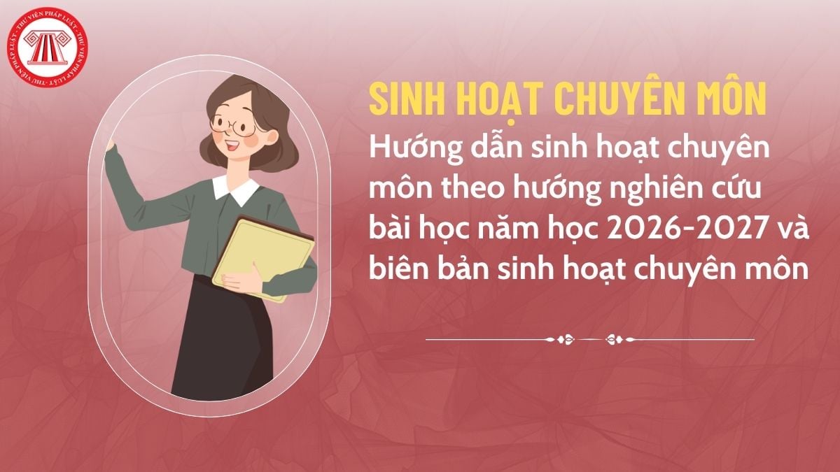 Pháp luật