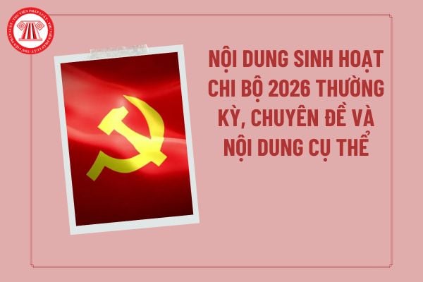 Pháp luật