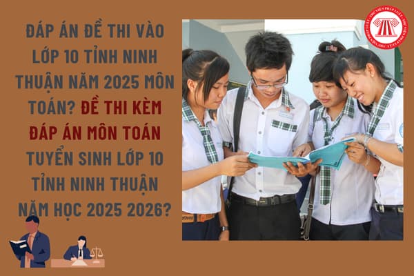 Pháp luật