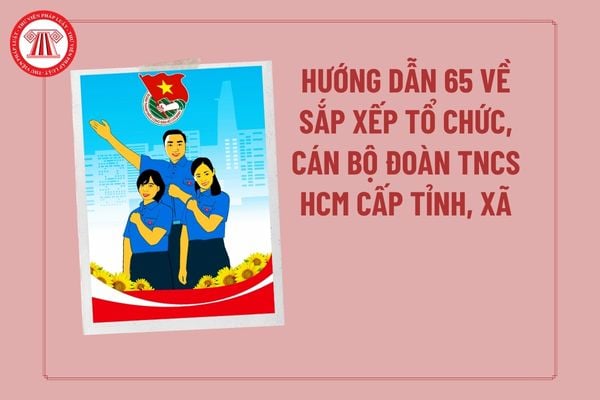 Pháp luật