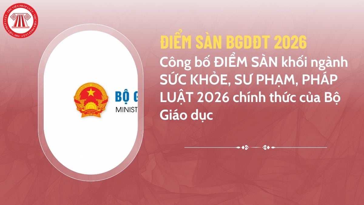 Pháp luật