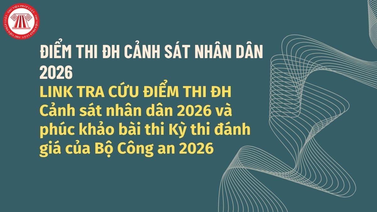 Pháp luật