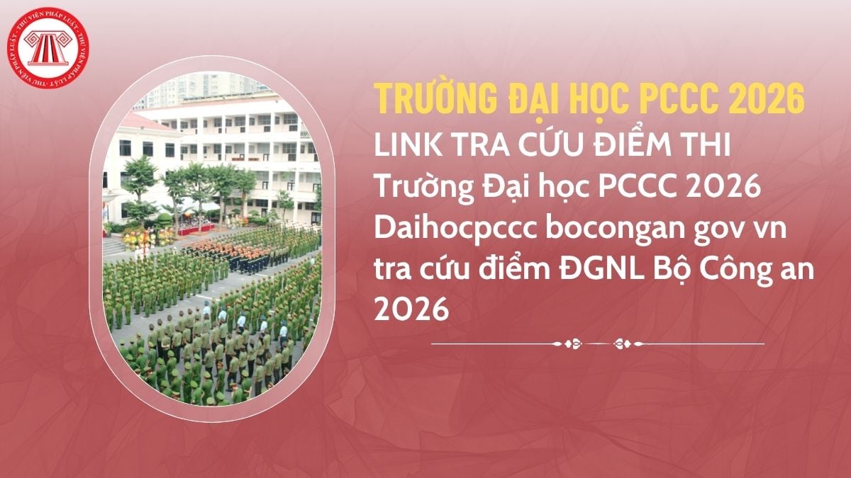 Pháp luật