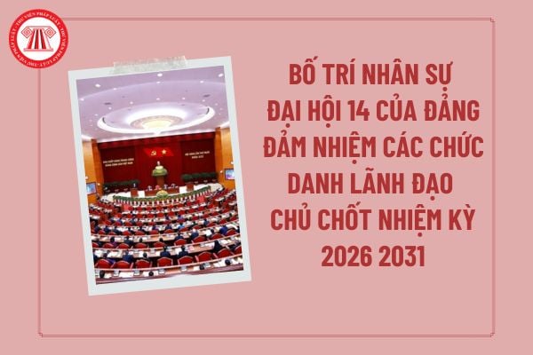 Pháp luật