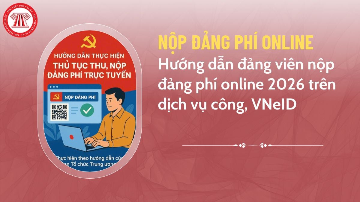 Pháp luật