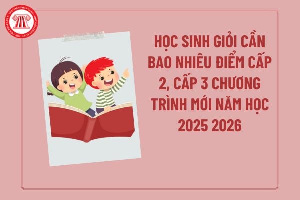 Pháp luật