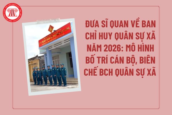 Pháp luật