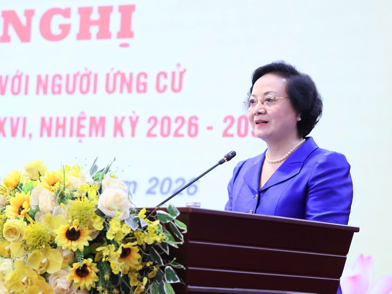 Pháp luật