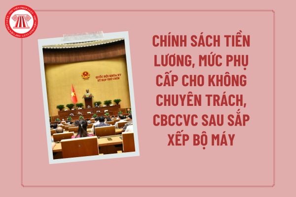 Pháp luật