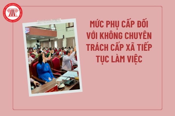 Pháp luật