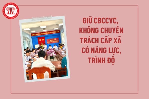 Pháp luật