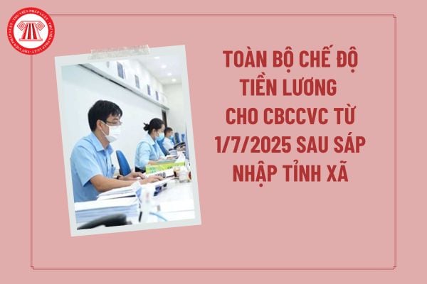 Pháp luật