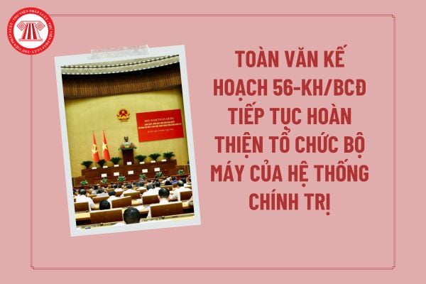 Pháp luật