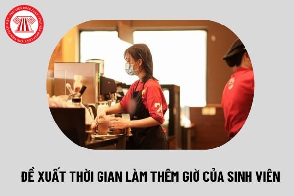 Đề xuất sinh viên được làm thêm 24 tiếng mỗi tuần đúng không? Tiền lương của học sinh, sinh viên làm thêm thế nào?