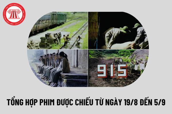 Tổng hợp phim được chiếu vào Kỷ niệm 79 năm Cách mạng tháng Tám, Quốc khánh từ ngày 19/8 đến 5/9 thế nào?