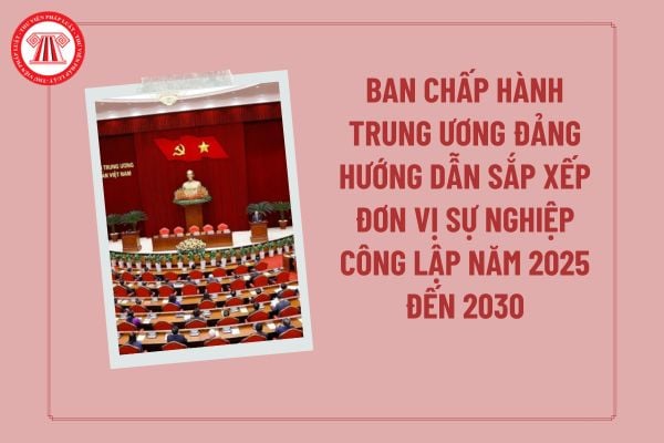 Ban Chấp hành Trung ương Đảng hướng dẫn sắp xếp đơn vị sự nghiệp công lập năm 2025 đến 2030 từng ngành, lĩnh vực ra sao?