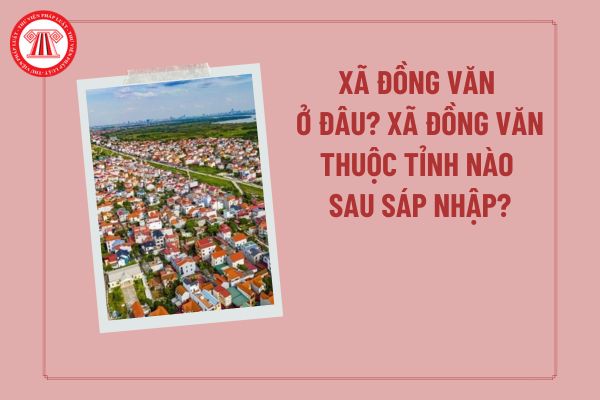 Pháp luật