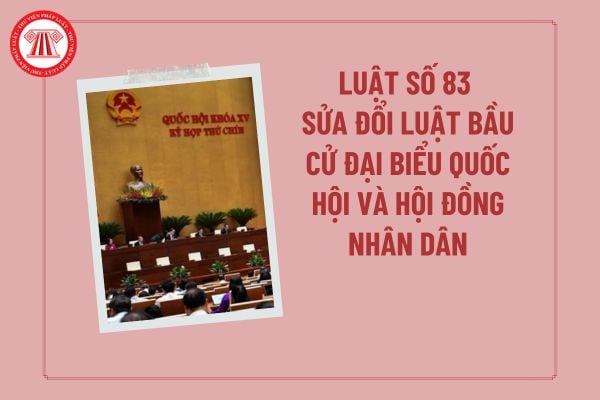 Pháp luật