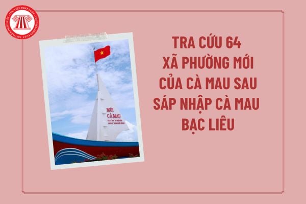 Pháp luật