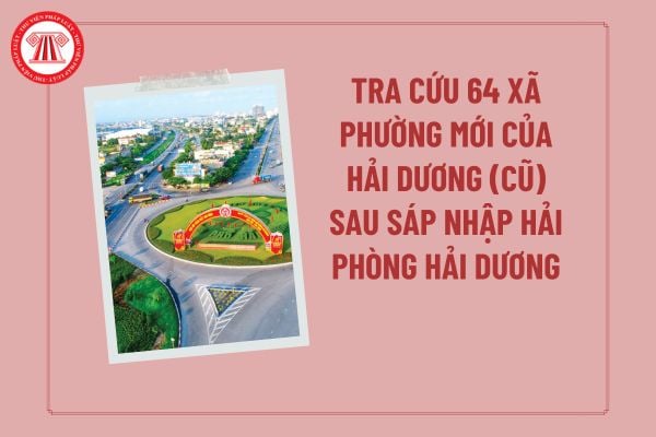 Pháp luật